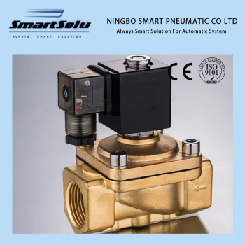 שסתום דו כיווני